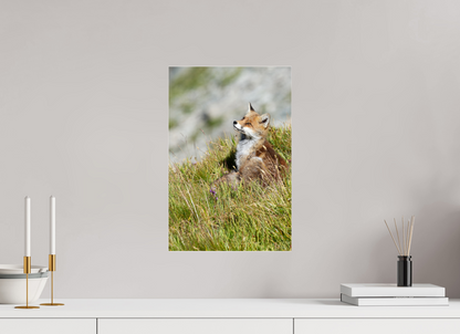 Autres animaux / Other animals