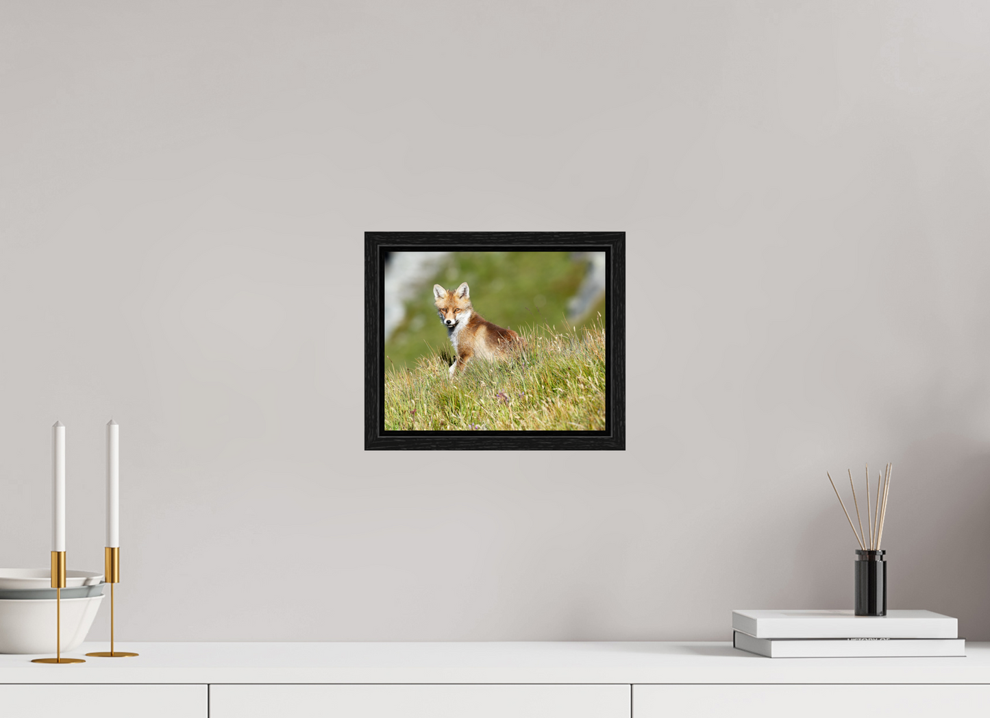Autres animaux / Other animals