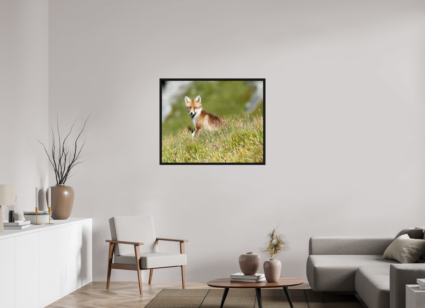 Autres animaux / Other animals