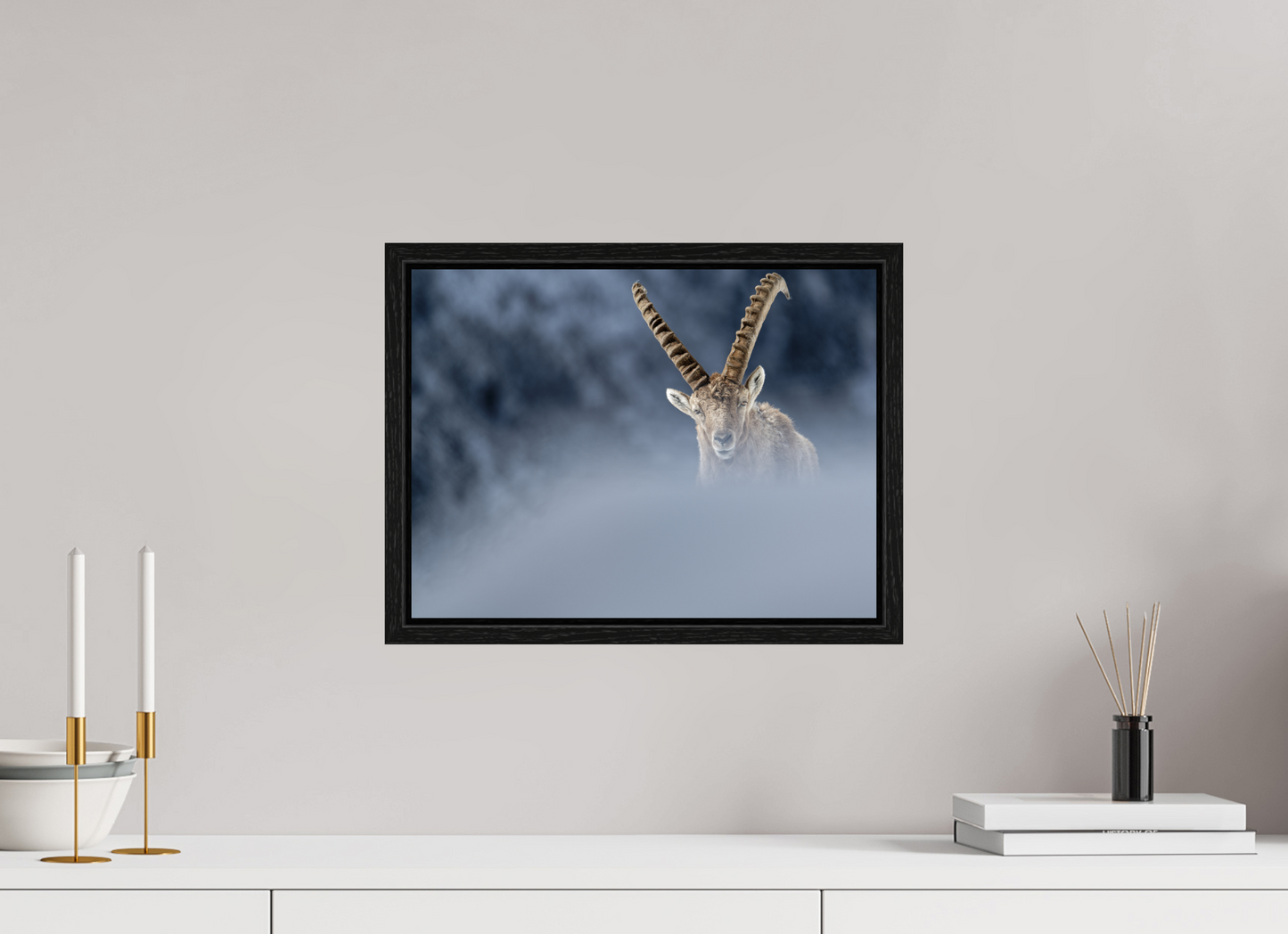 Bouquetin / Ibex