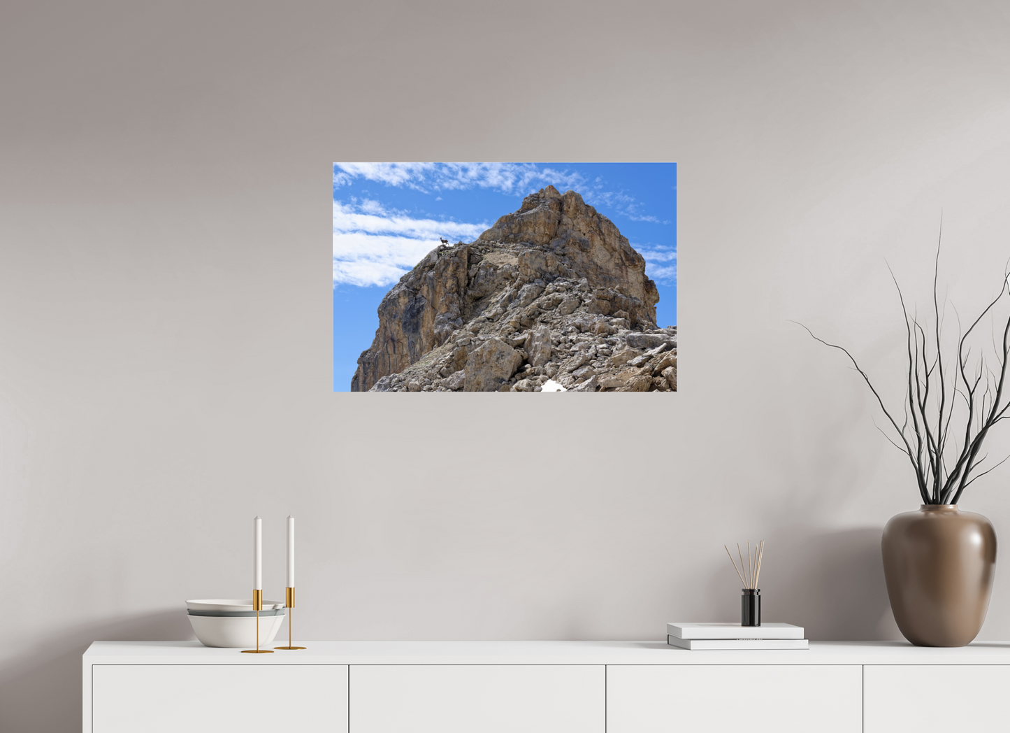 Bouquetin / Ibex