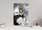 Chamois