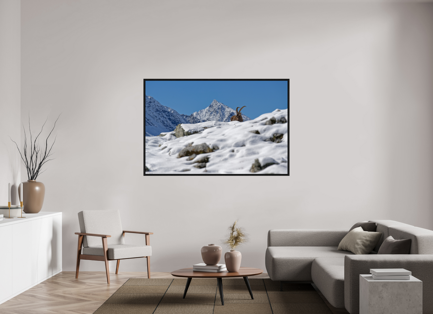 Bouquetin / Ibex