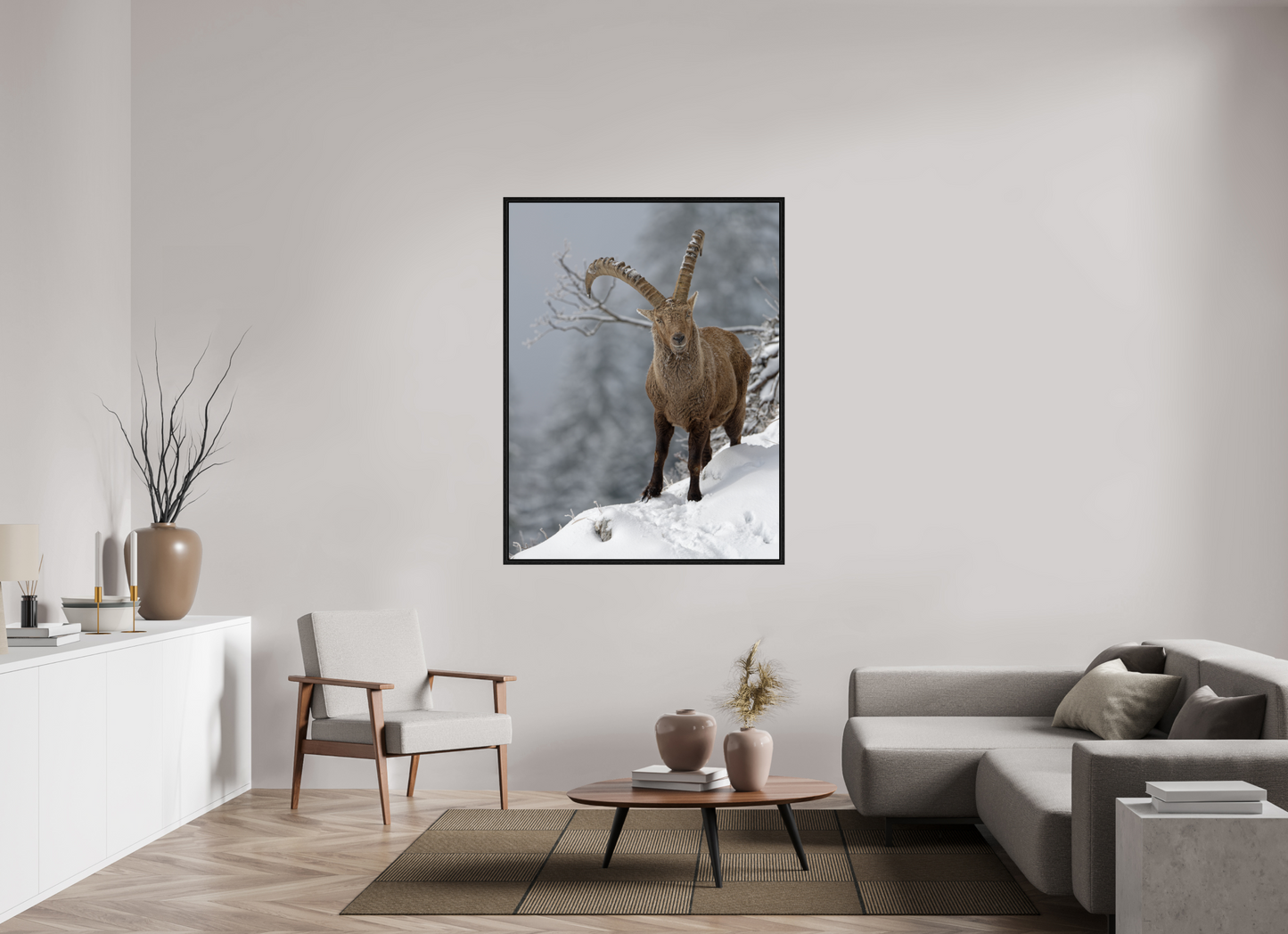 Bouquetin / Ibex