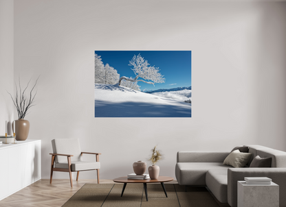 Hiver / Winter