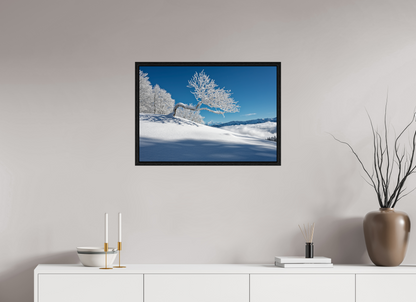 Hiver / Winter