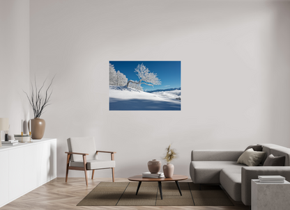 Hiver / Winter