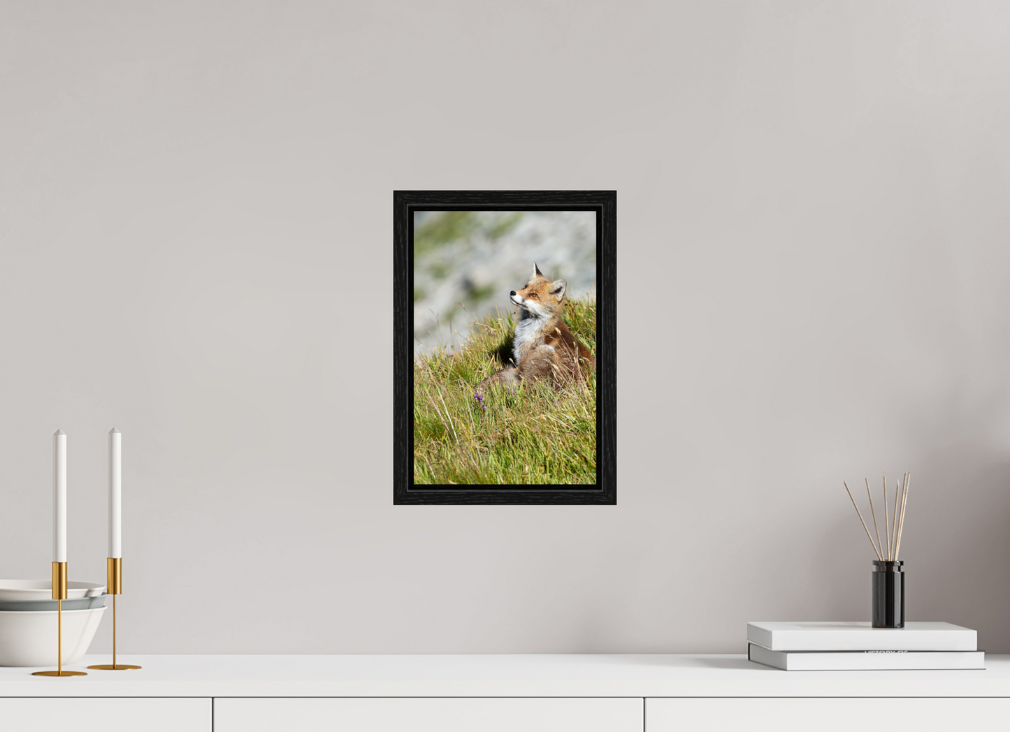 Autres animaux / Other animals
