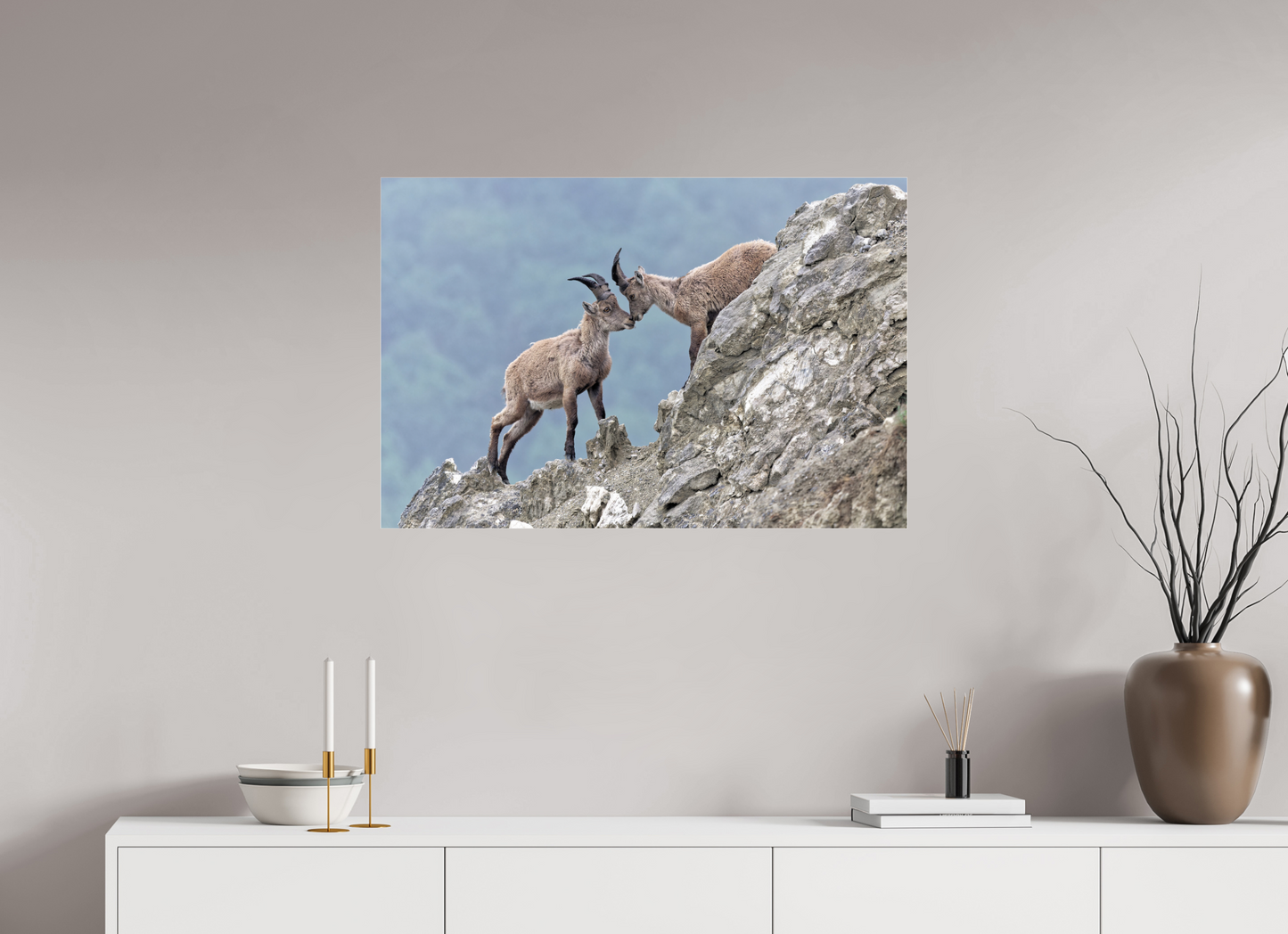 Bouquetin / Ibex