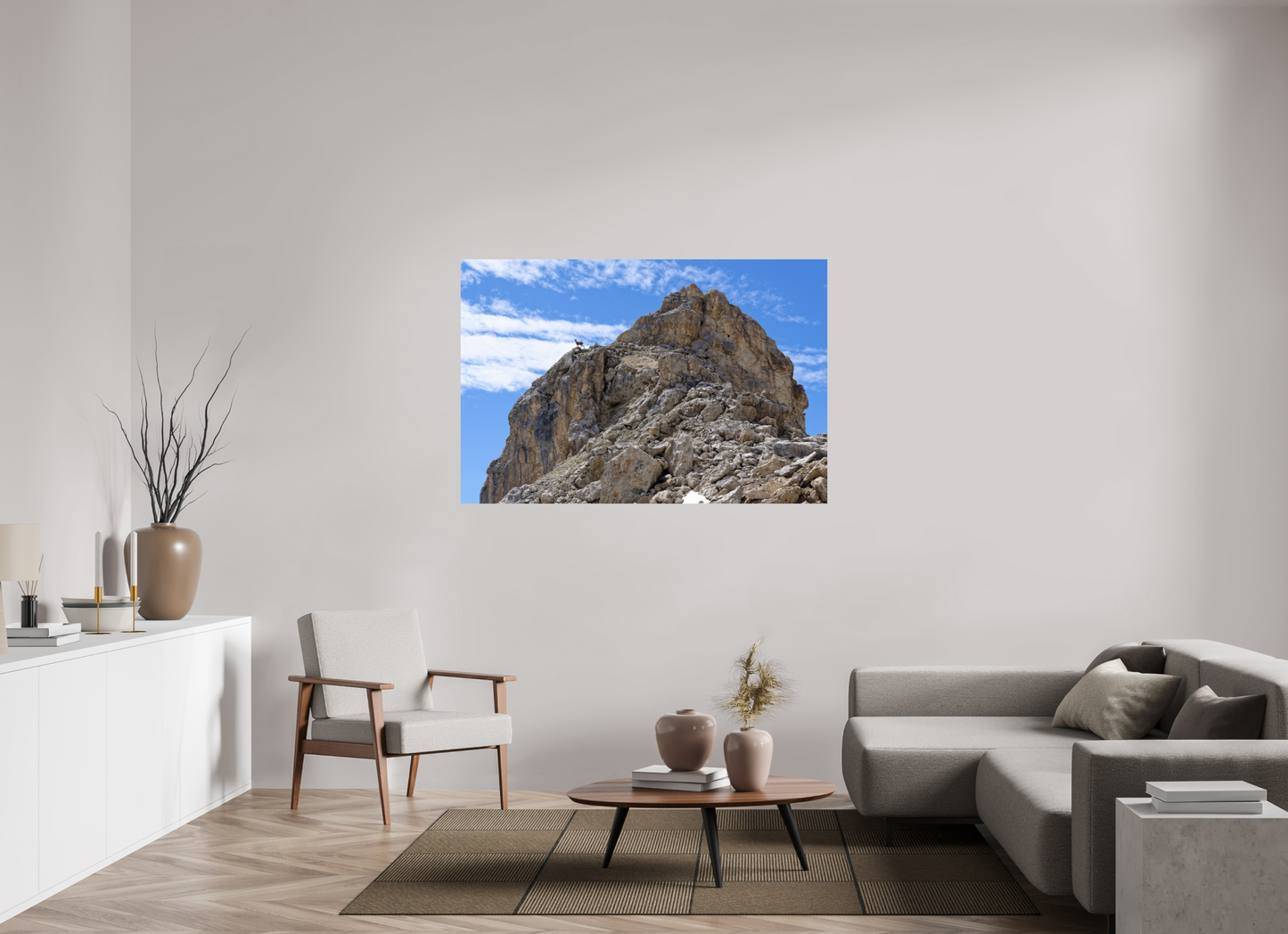 Bouquetin / Ibex