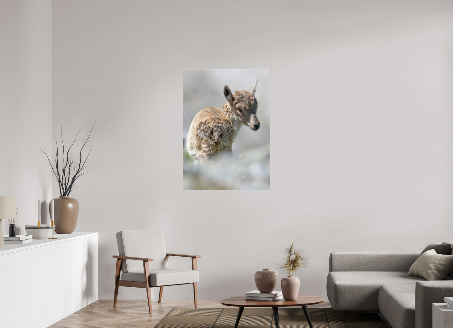 Bouquetin / Ibex