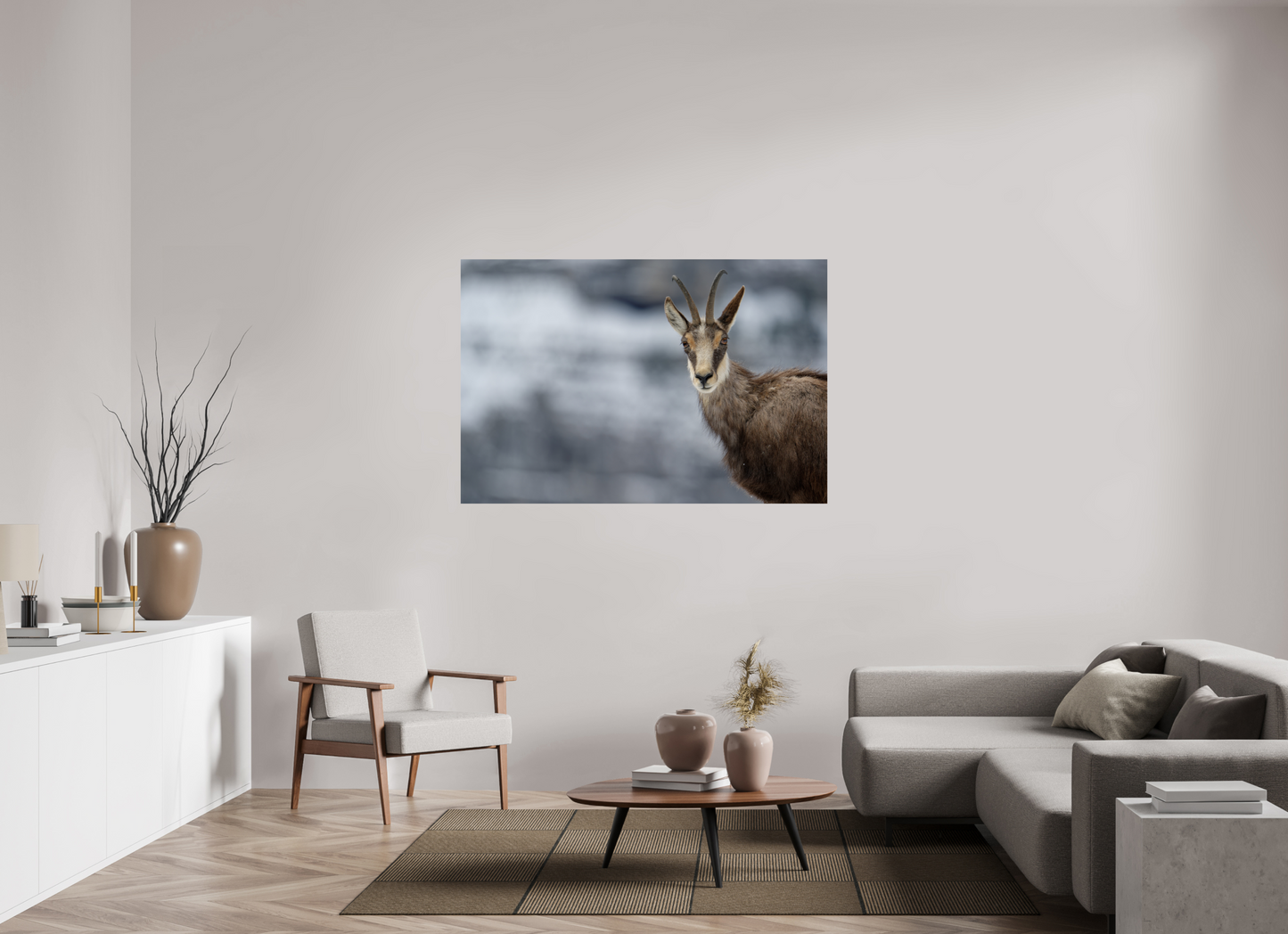 Chamois