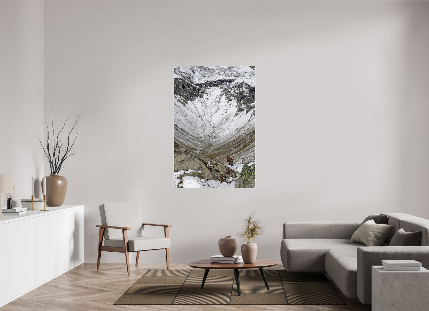 Bouquetin / Ibex