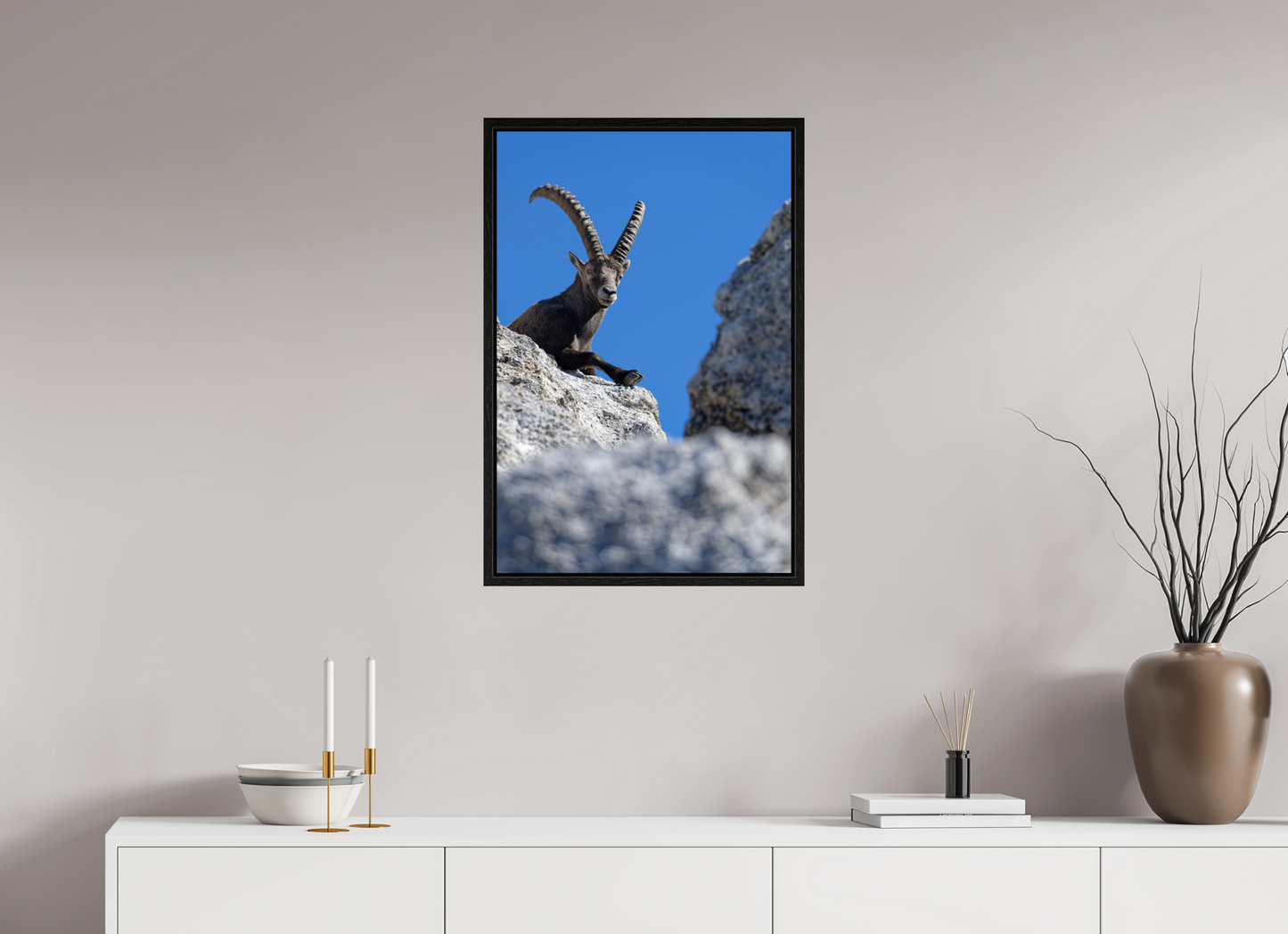 Bouquetin / Ibex
