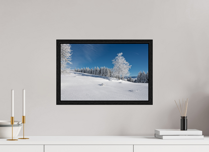 Hiver / Winter