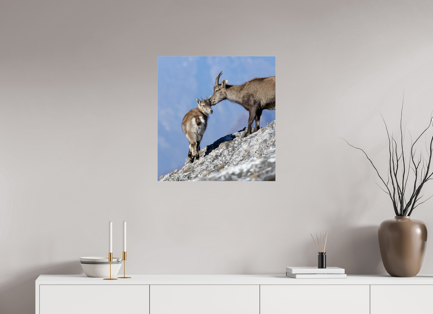 Bouquetin / Ibex