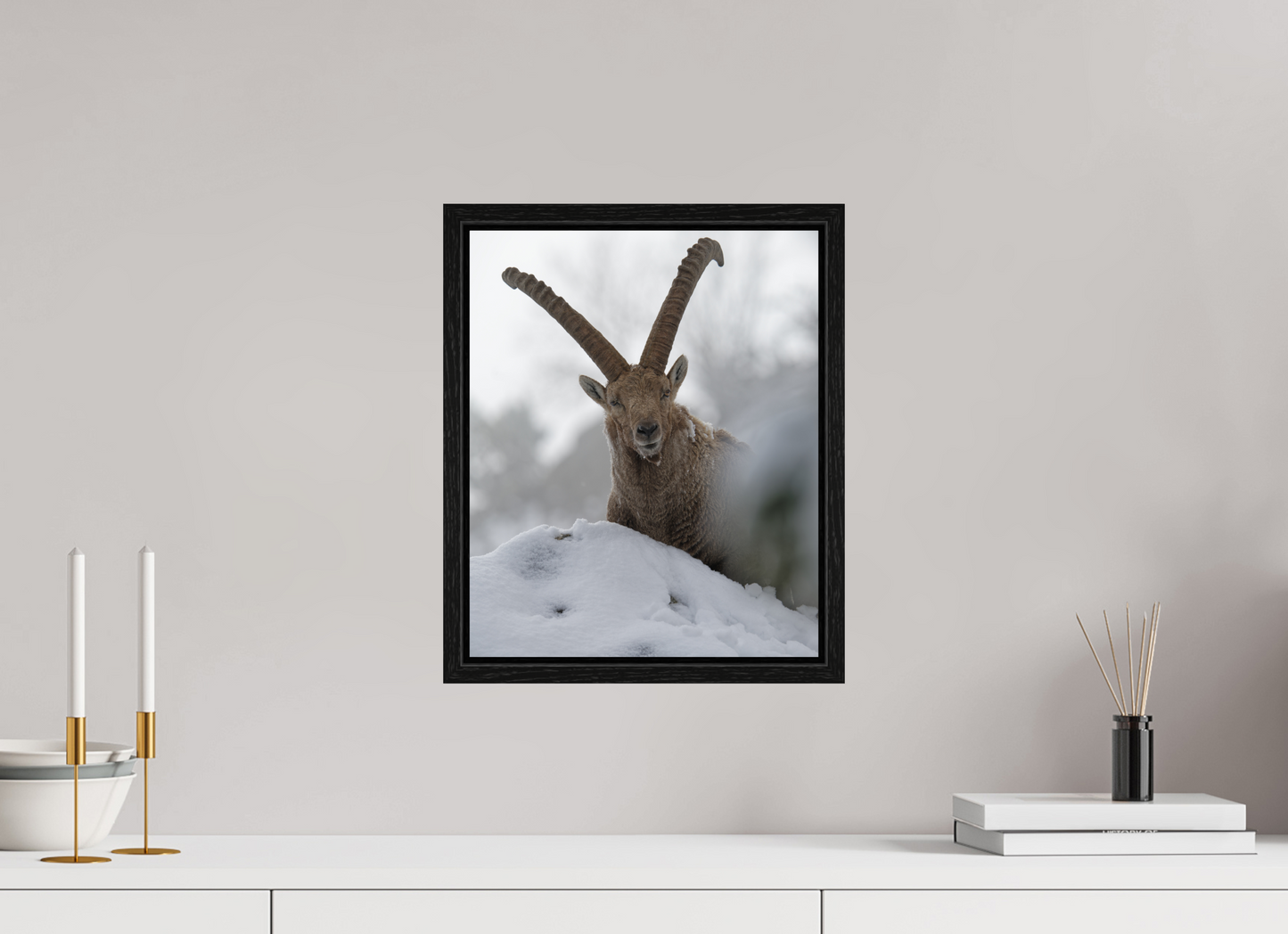 Bouquetin / Ibex