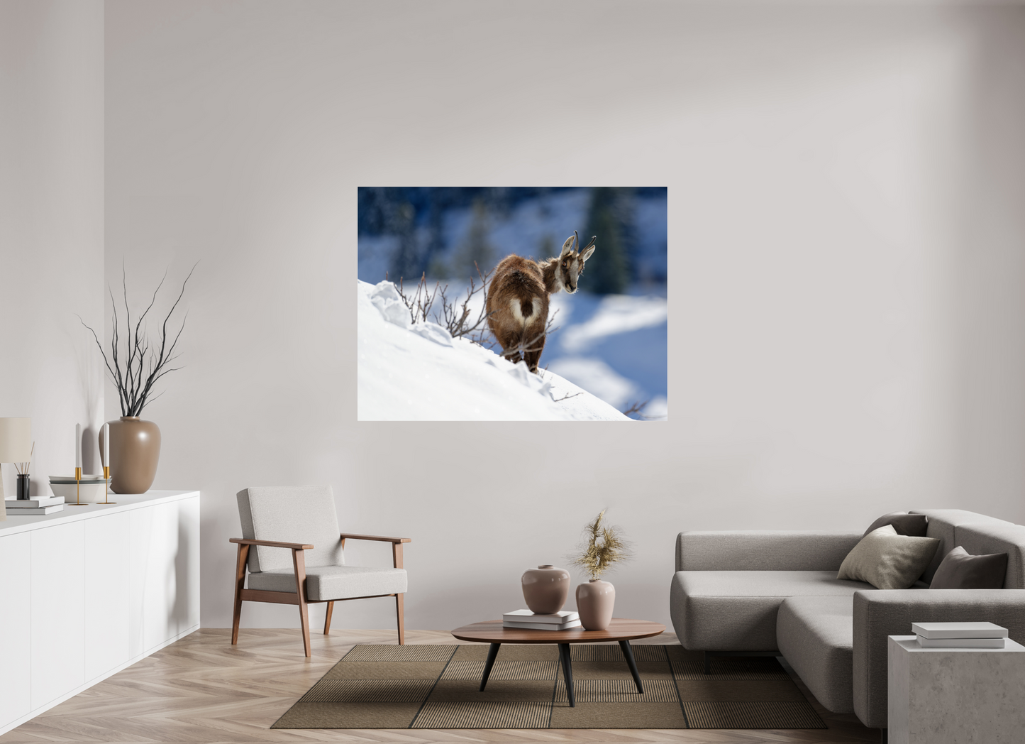 Chamois