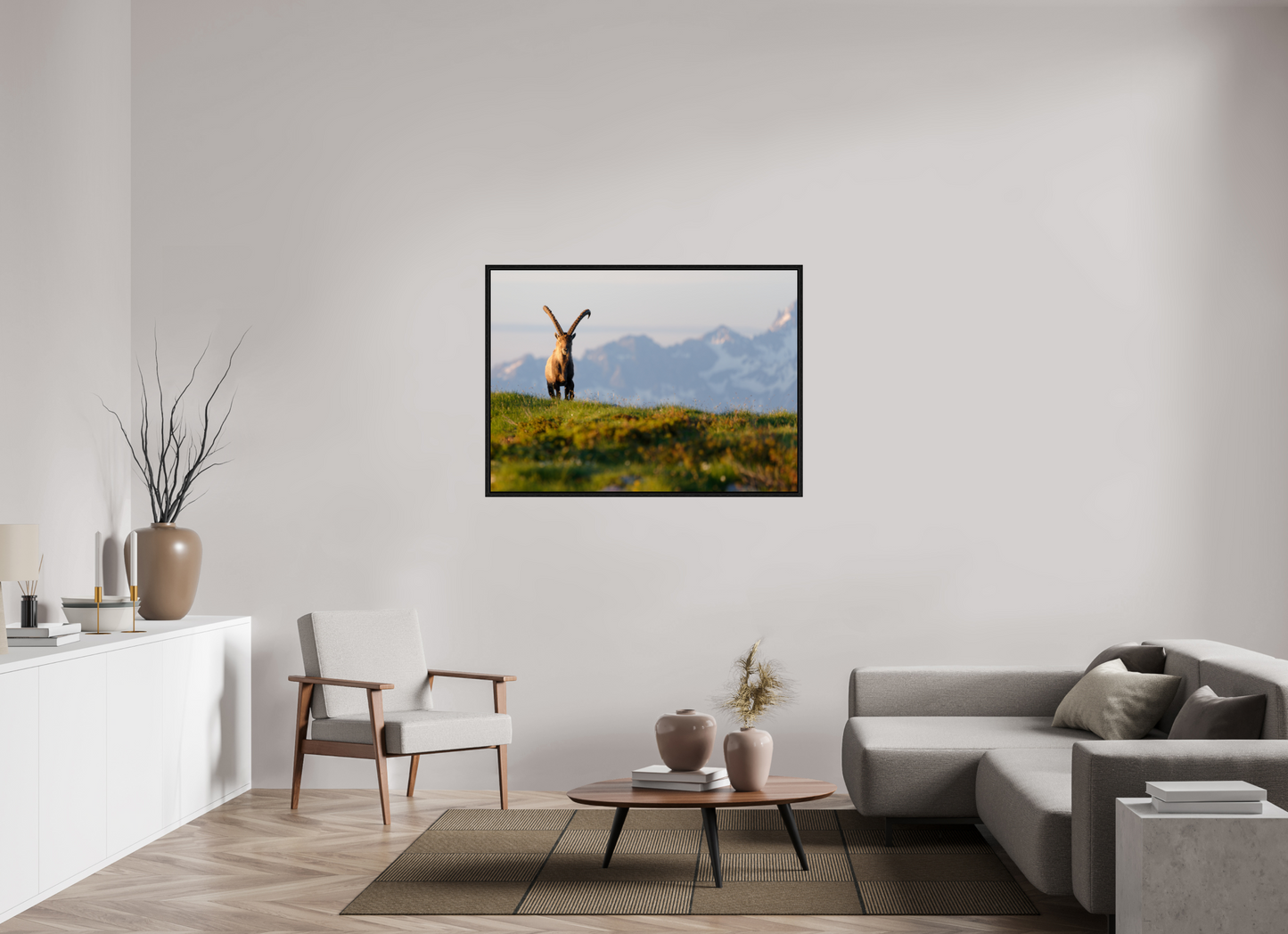Bouquetin / Ibex