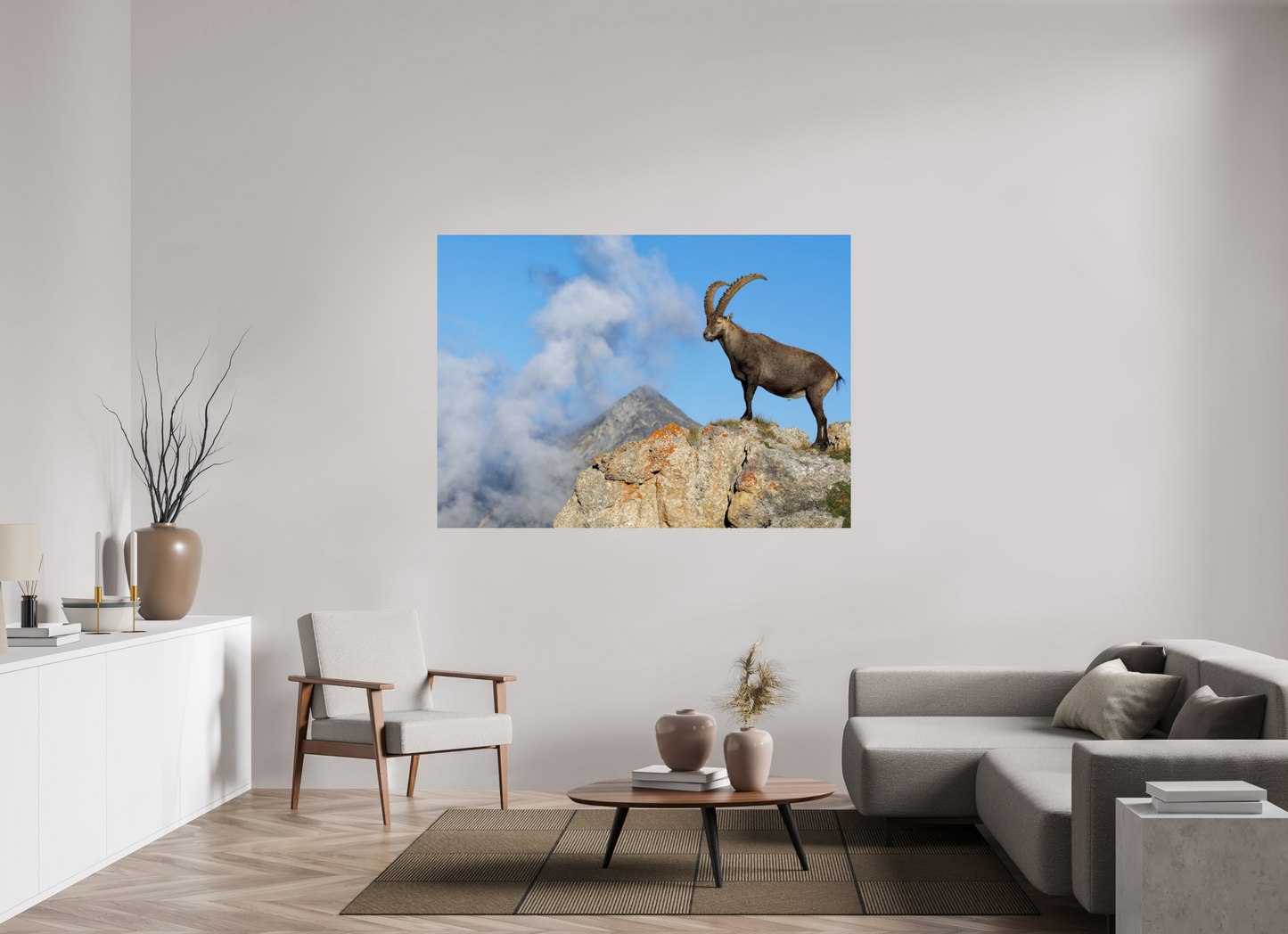 Bouquetin / Ibex