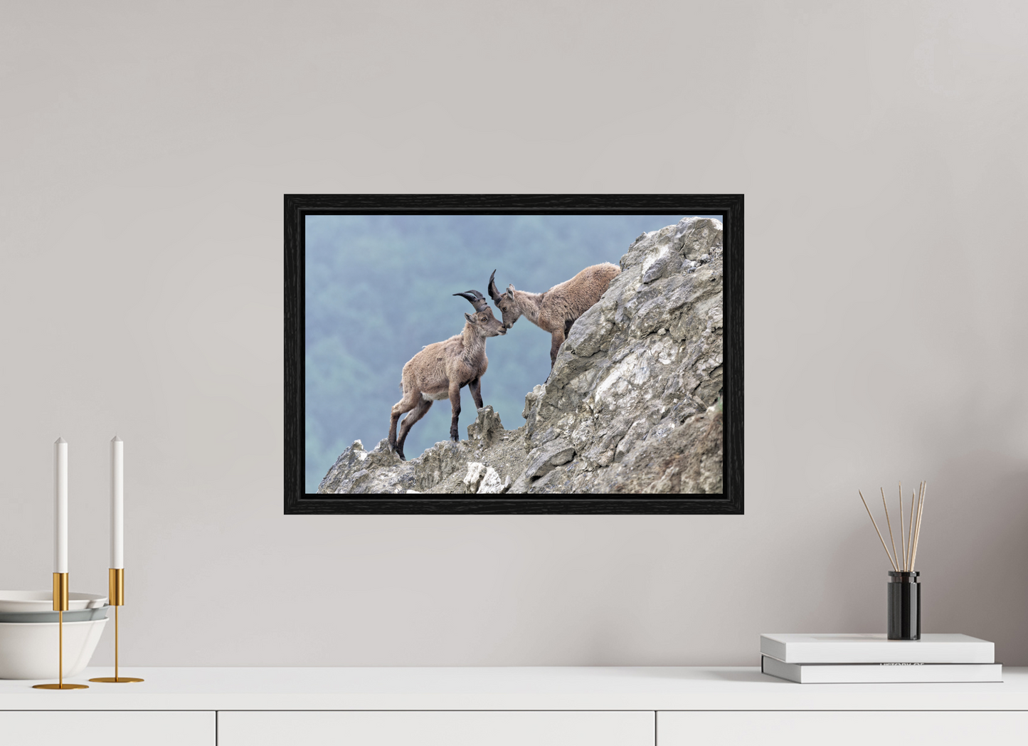 Bouquetin / Ibex