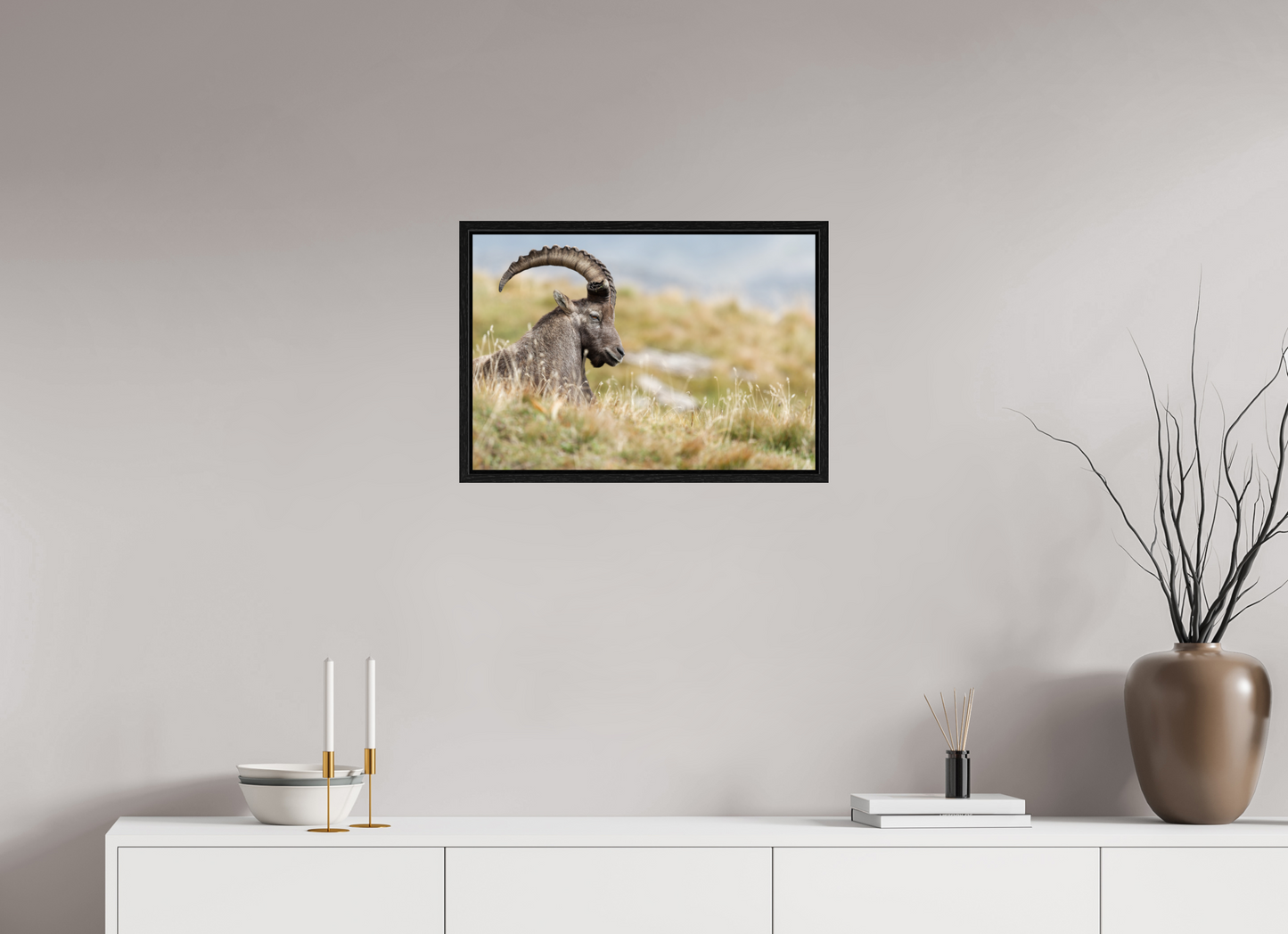 Bouquetin / Ibex