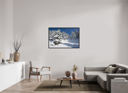 Hiver / Winter
