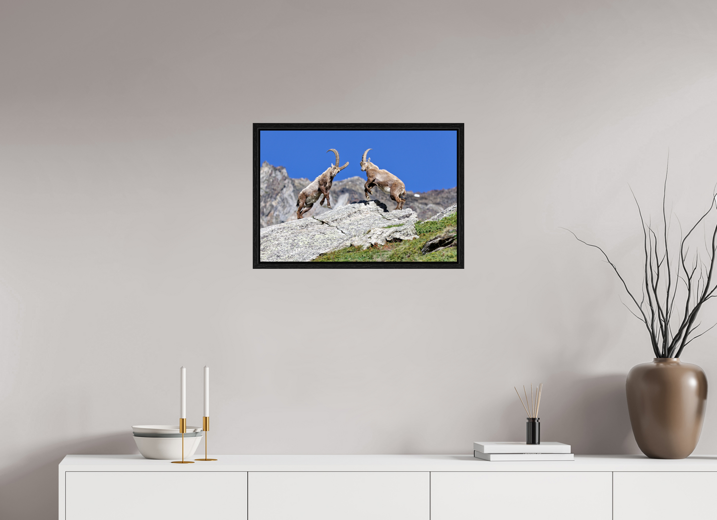 Bouquetin / Ibex