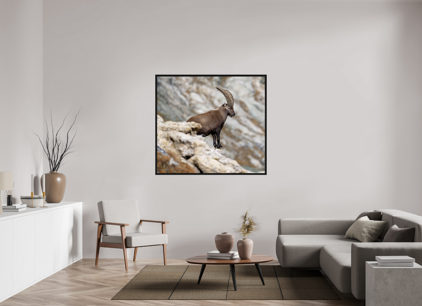 Bouquetin / Ibex