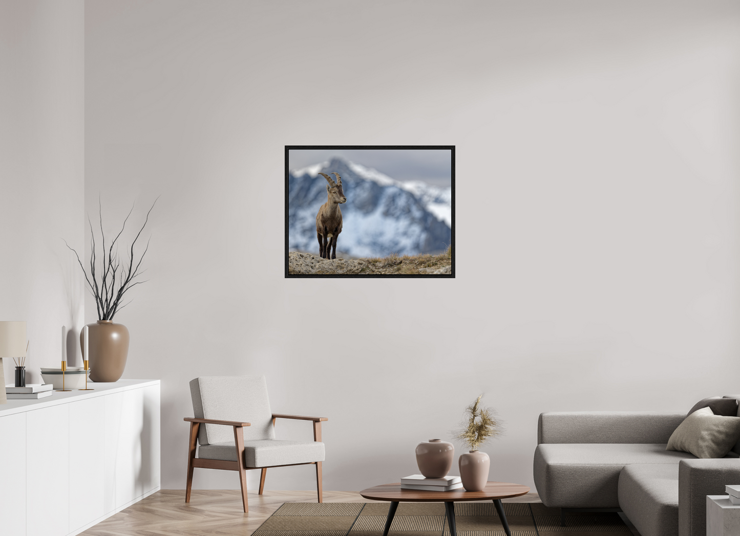 Bouquetin / Ibex