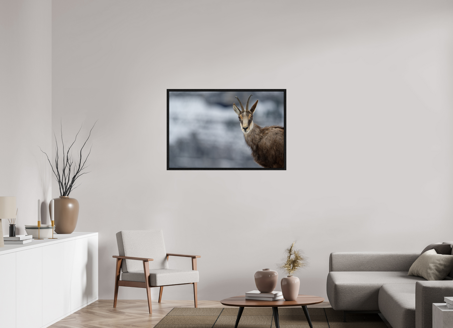 Chamois