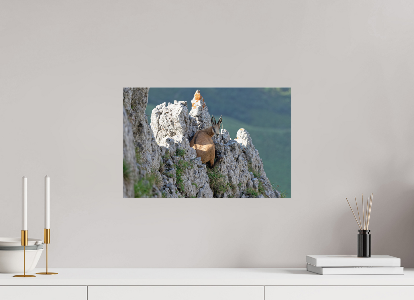 Chamois