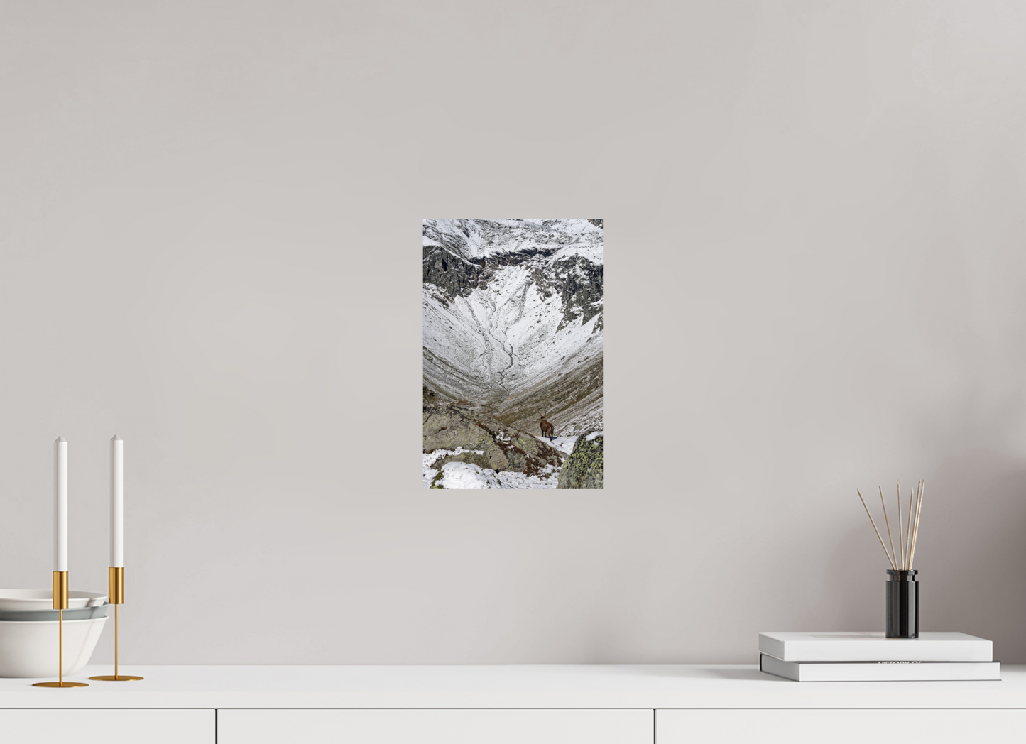Bouquetin / Ibex