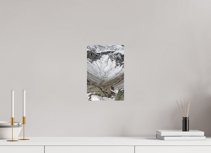 Bouquetin / Ibex