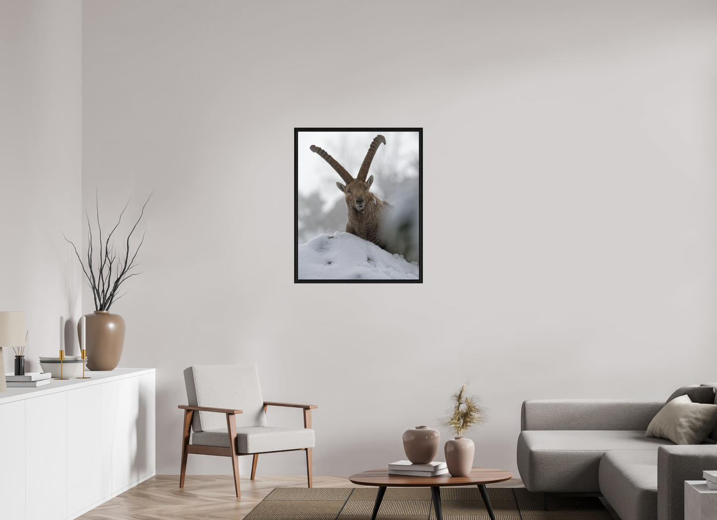 Bouquetin / Ibex