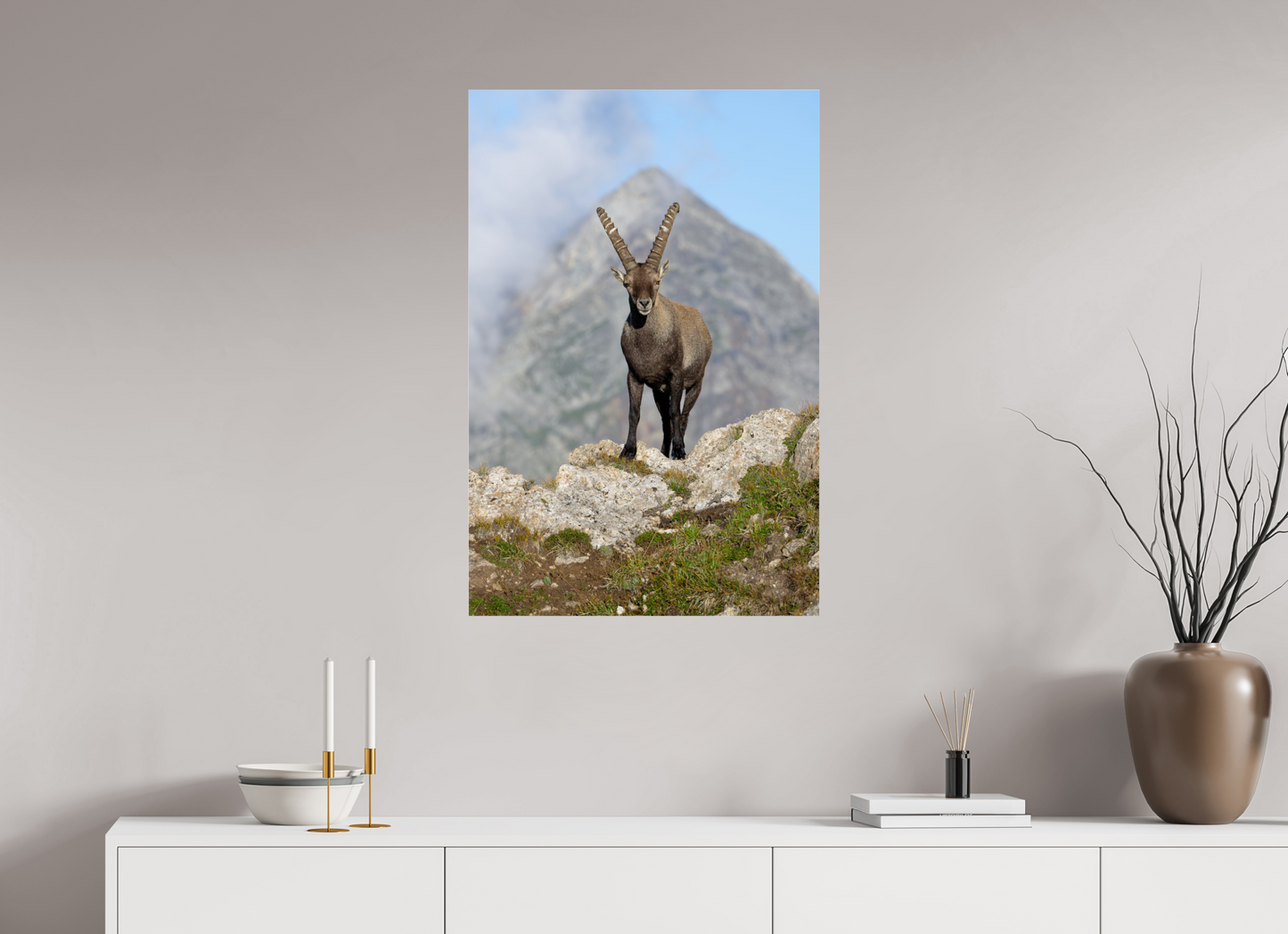 Bouquetin / Ibex
