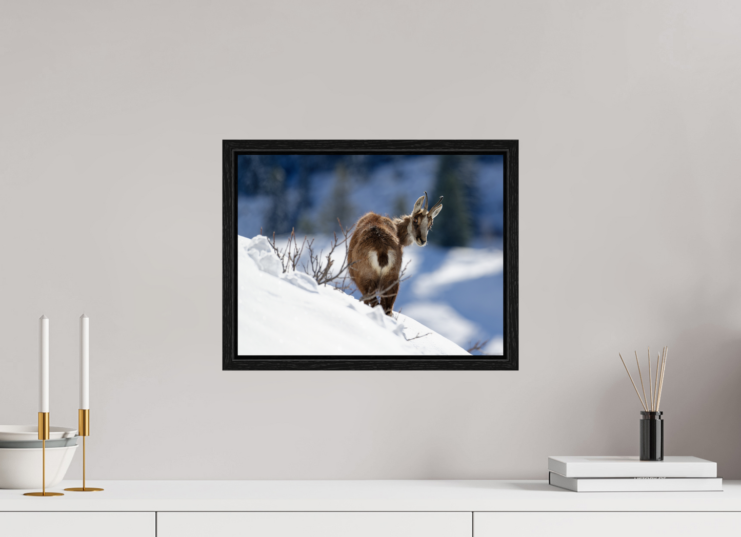 Chamois