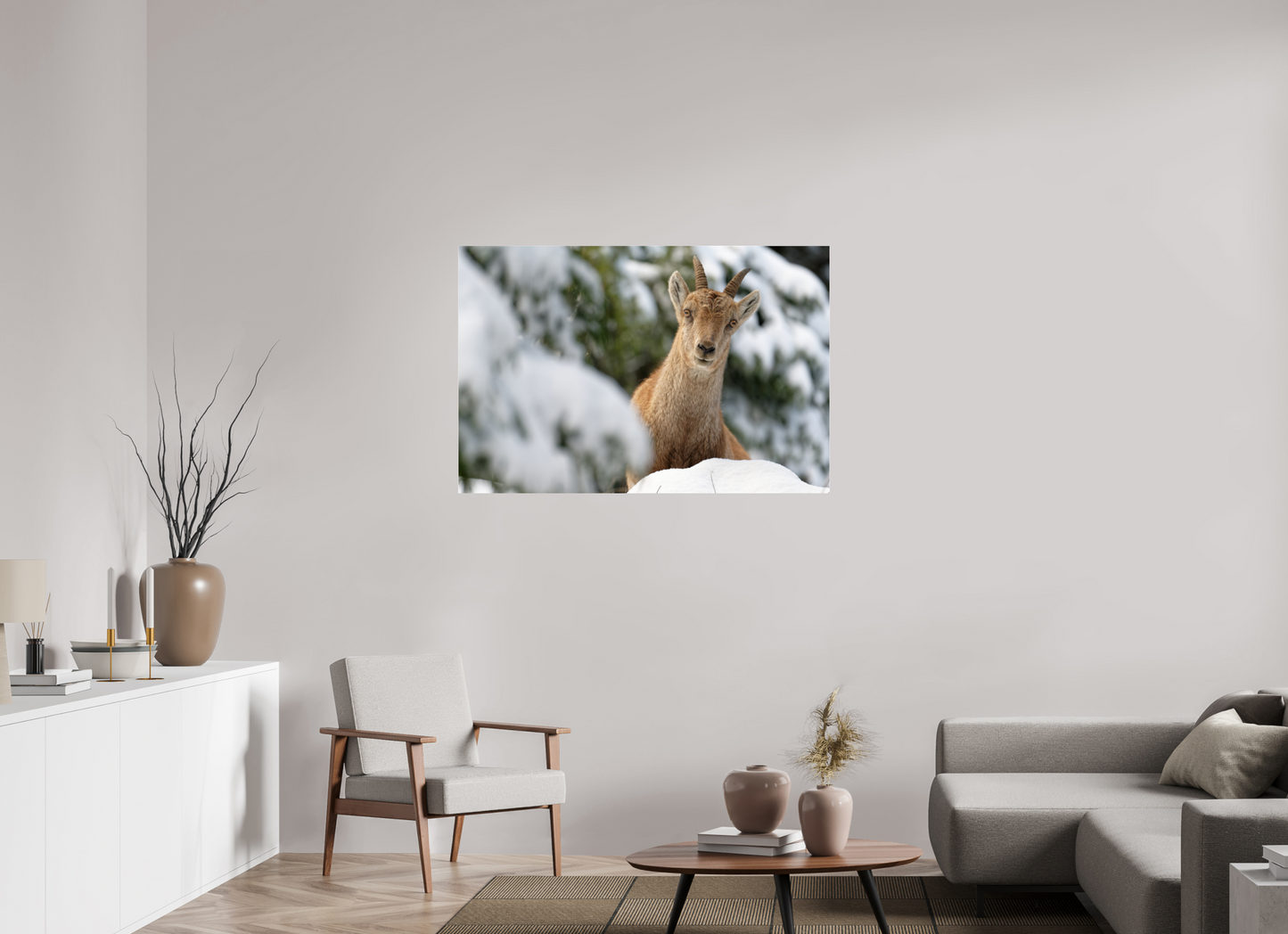 Bouquetin / Ibex