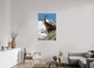 Bouquetin / Ibex