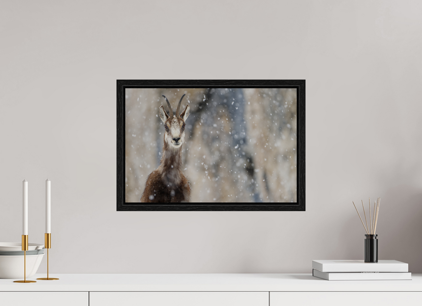 Chamois