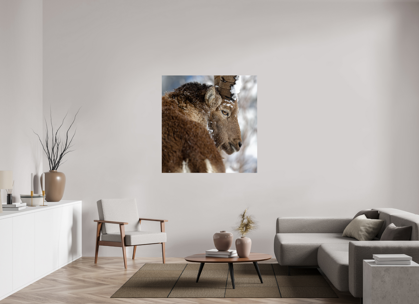 Bouquetin / Ibex