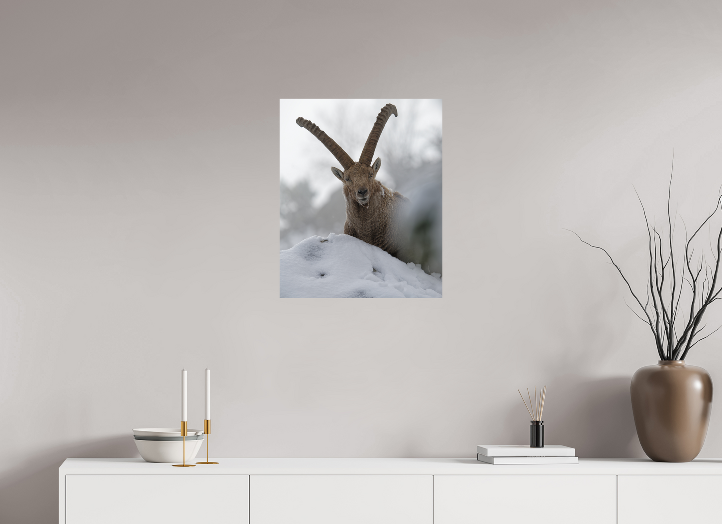 Bouquetin / Ibex