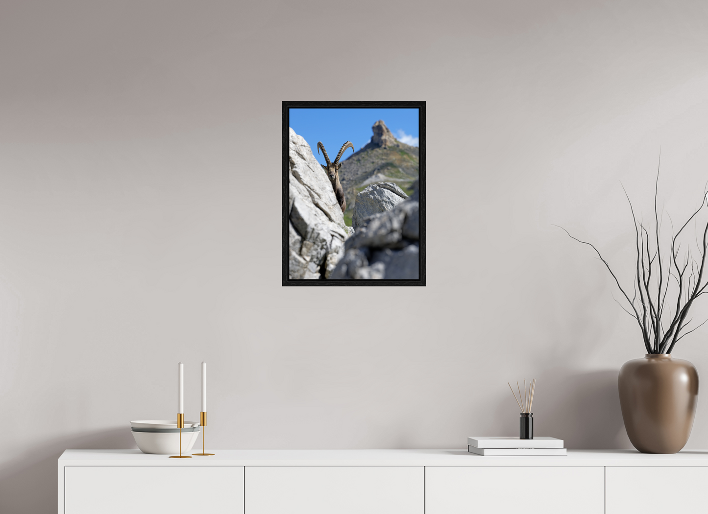 Bouquetin / Ibex