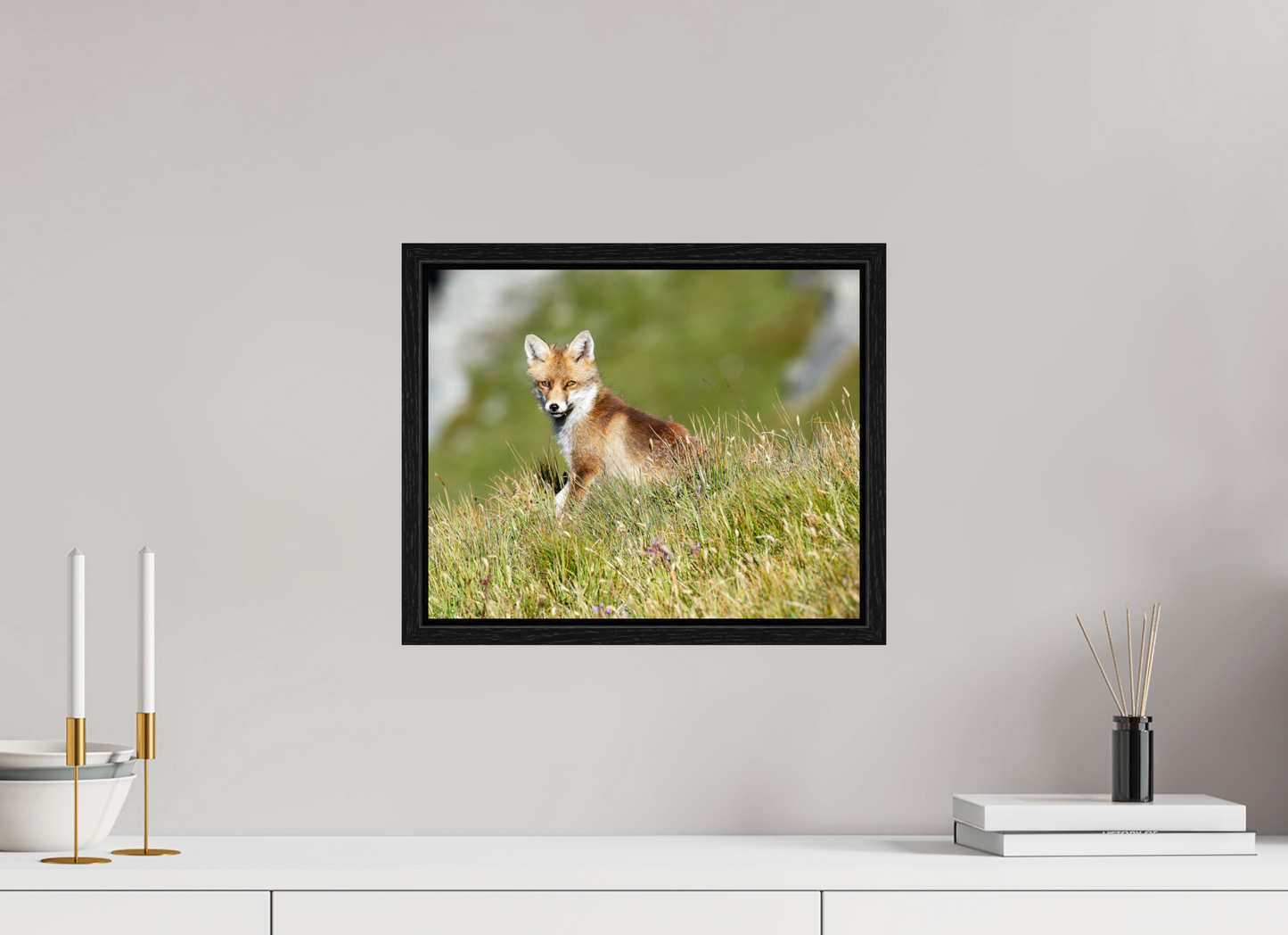 Autres animaux / Other animals