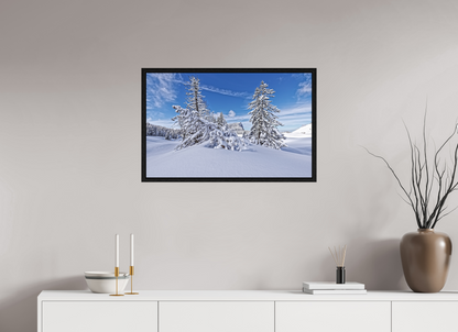 Hiver / Winter