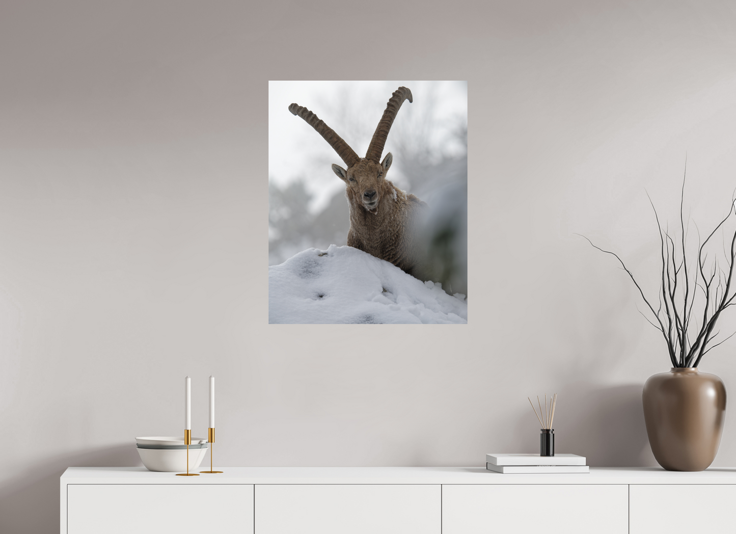 Bouquetin / Ibex