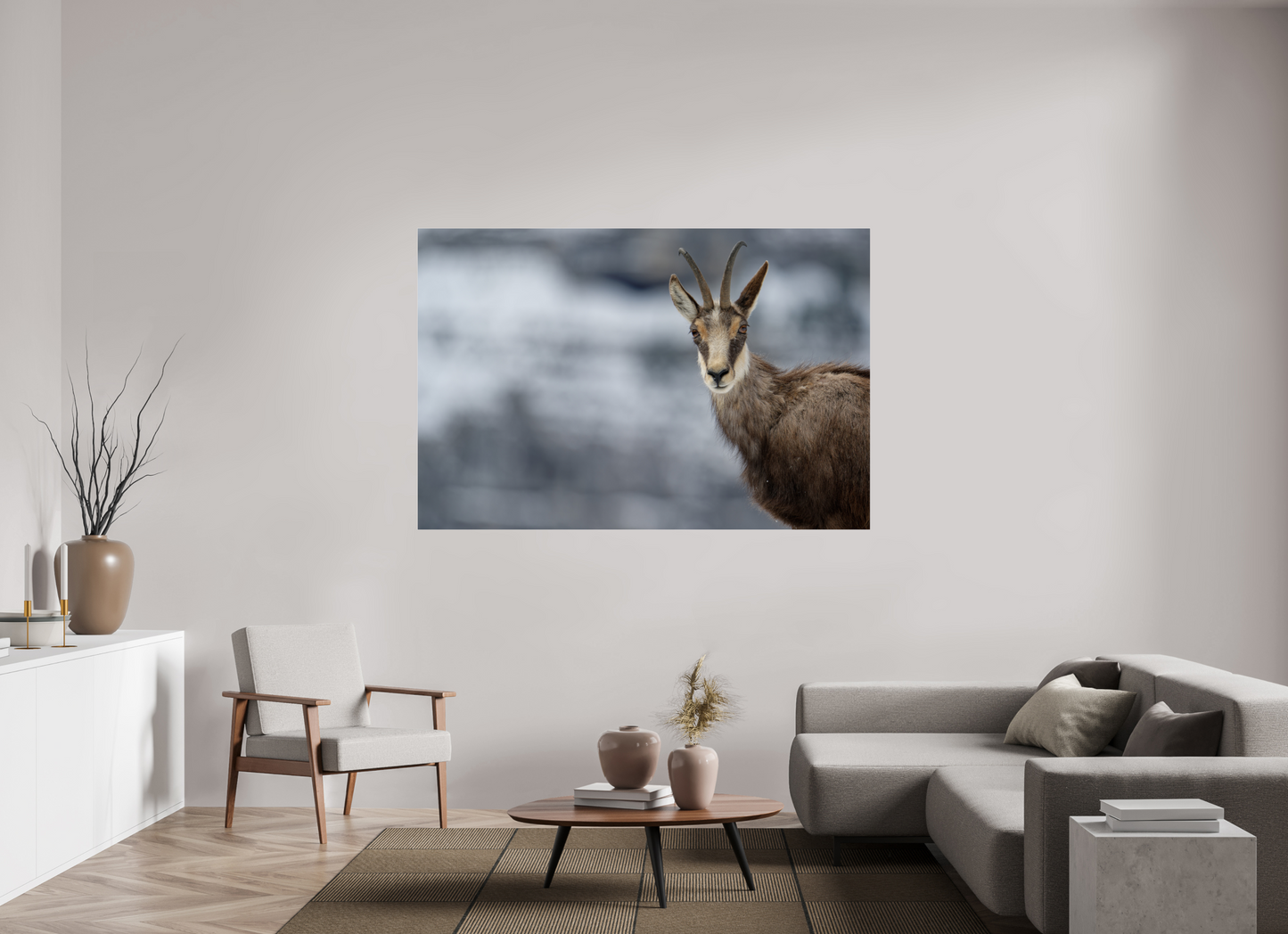 Chamois