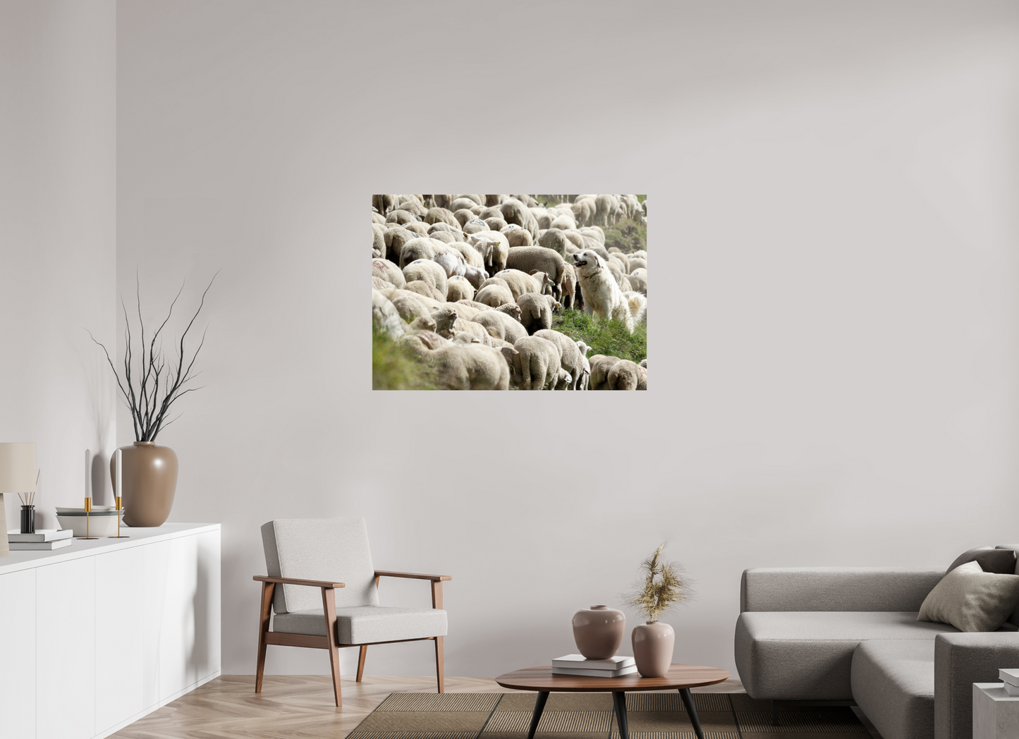 Autres animaux / Other animals