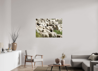 Autres animaux / Other animals