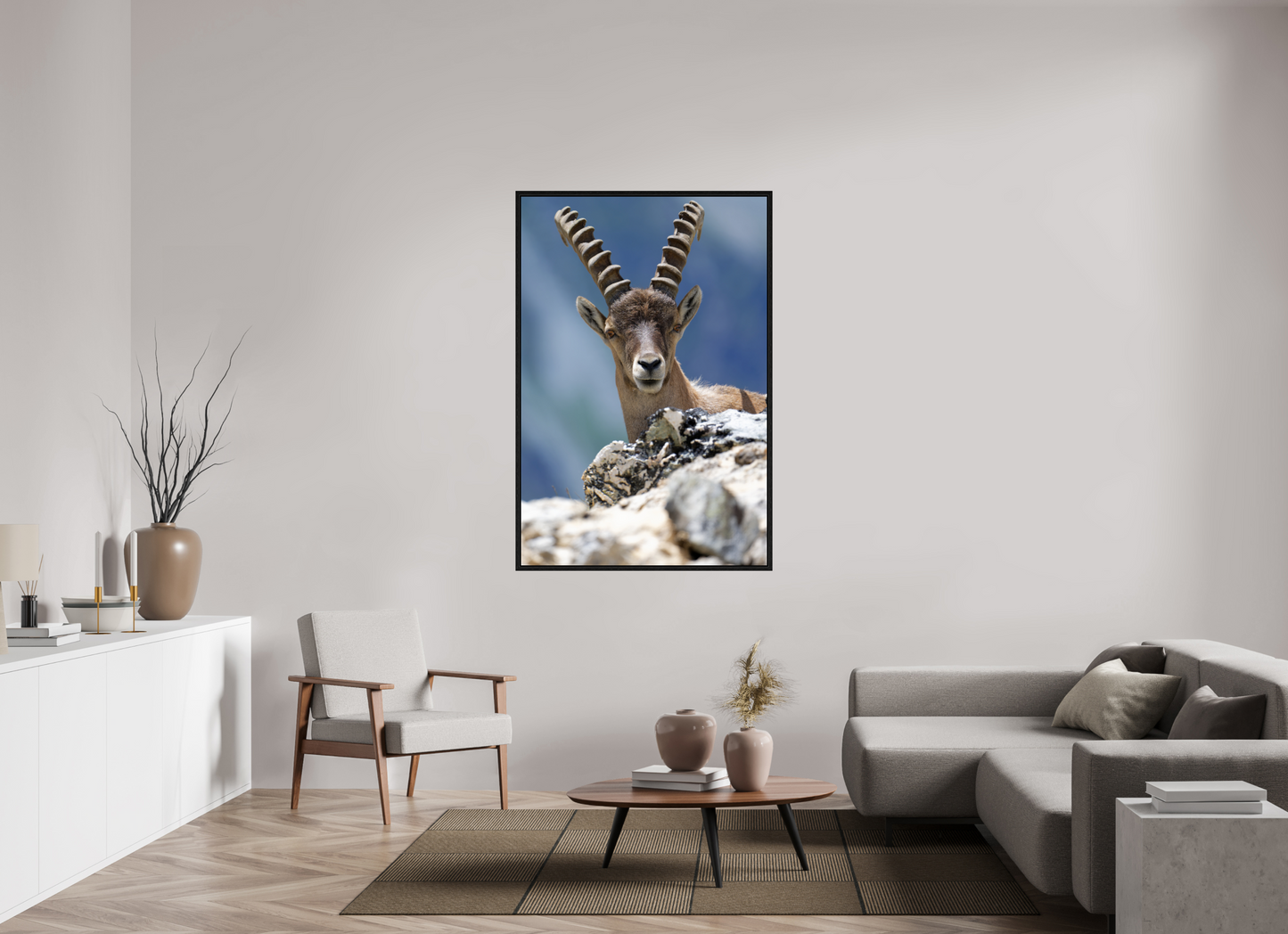 Bouquetin / Ibex